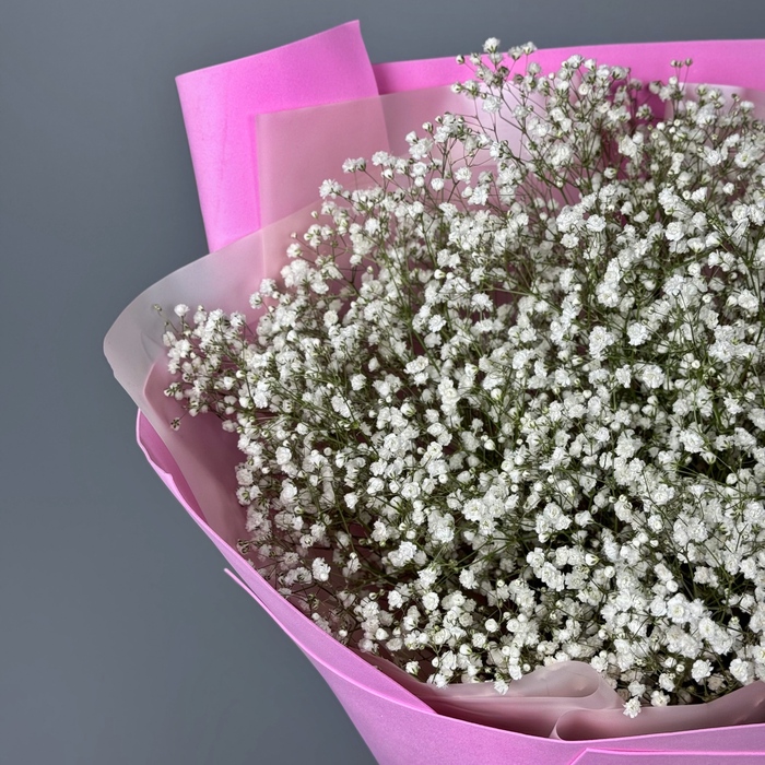 Букет из 15 белых гипсофил