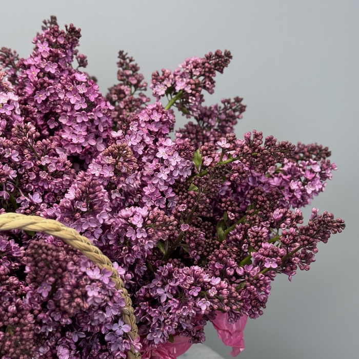 Цветы в корзине Сирень