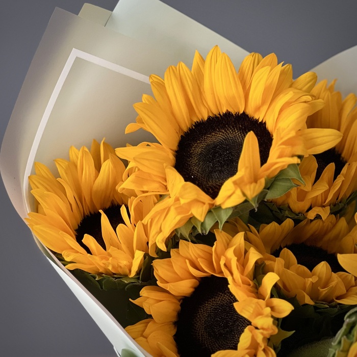 Букет из 7 подсолнухов