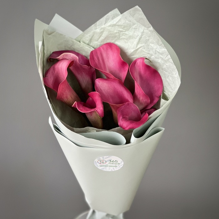 Букет из 7 малиновых калл