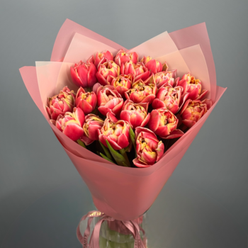 Букет из 21 малиновых пионовидных тюльпанов