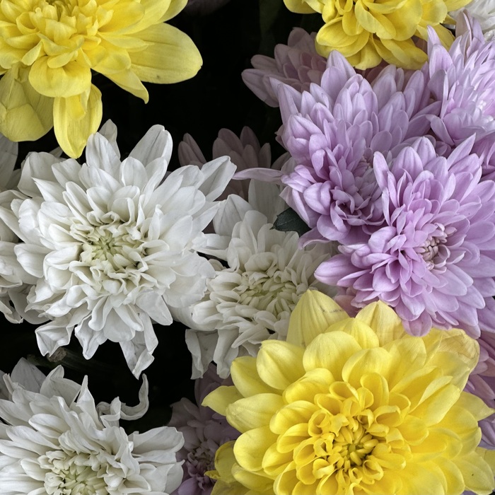 Цветы в корзине Сюрприз