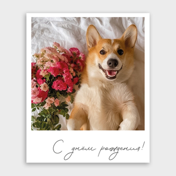 Открытка С днем рождения! (корги, формат мини)