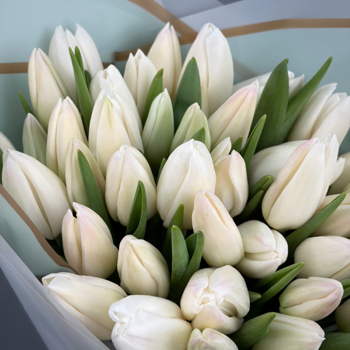Букет из 41 белых тюльпанов