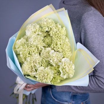 Букет из 25 фисташковых гвоздик