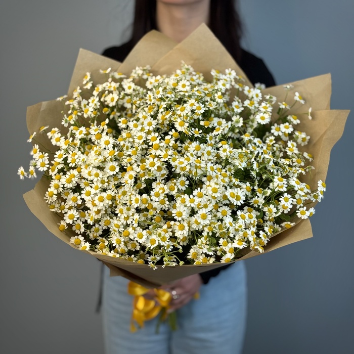 Букет из 21 ромашки