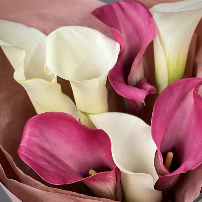 Букет из 7 калл микс