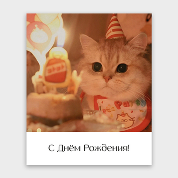 Открытка С Днем Рождения! (коти в колпаке, формат мини)