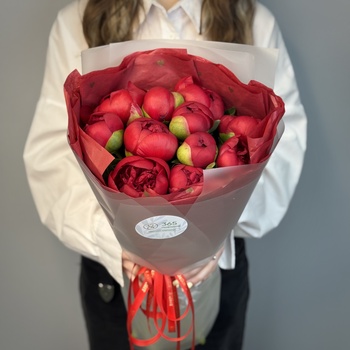 Букет из 11 бордовых пионов