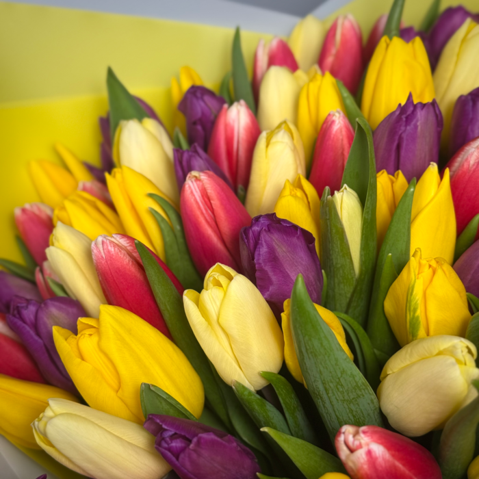 Букет из 71 тюльпанов яркий микс