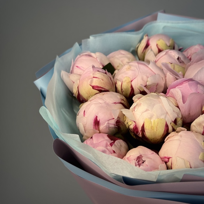 Букет из 17 пионов Сара