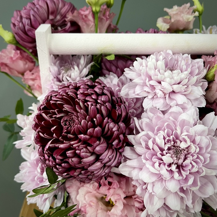 Цветы в ящике Венеция