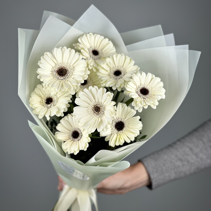 Букет из 11 белых гербер