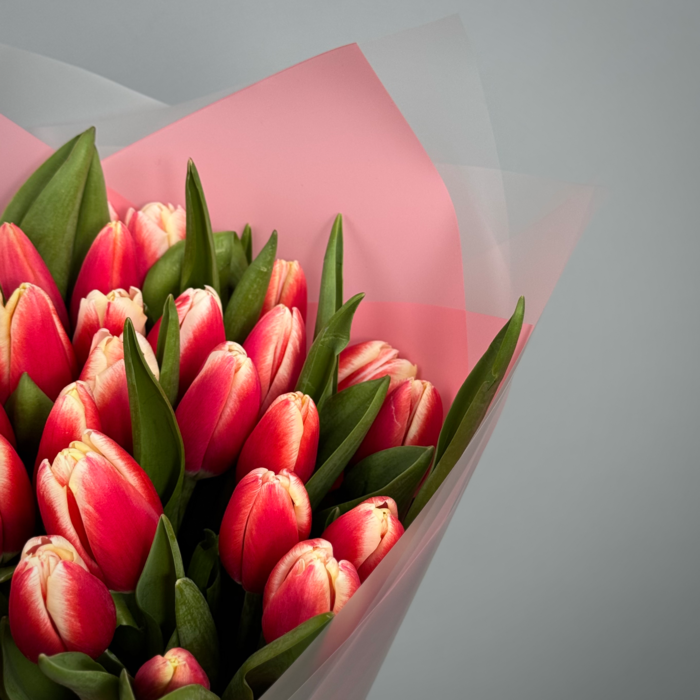 Букет из 31 красных тюльпанов