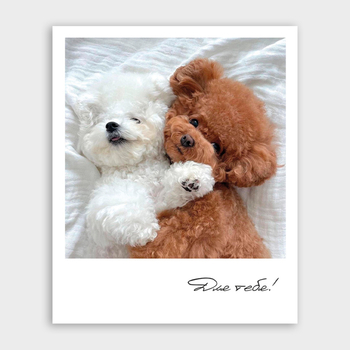 Открытка Для тебя! (щенки, формат мини)