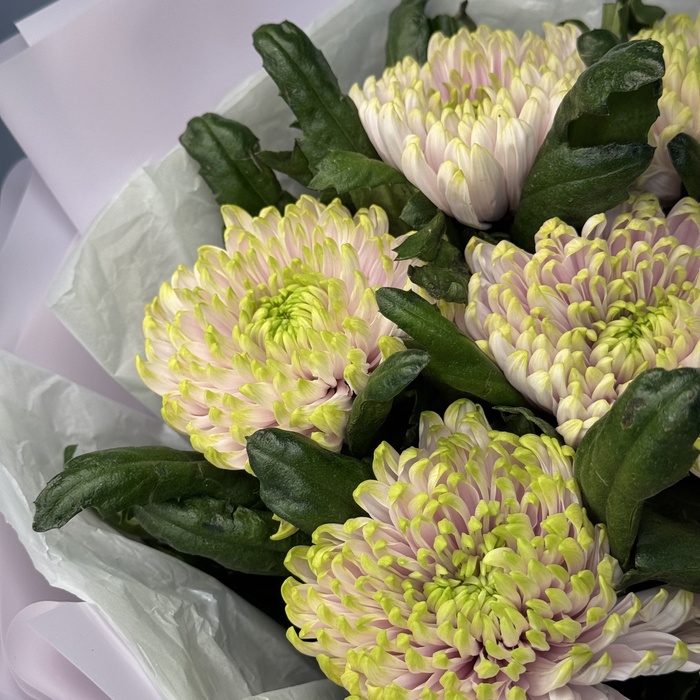 Букет Мохито