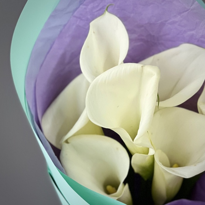 Букет из 7 белых калл