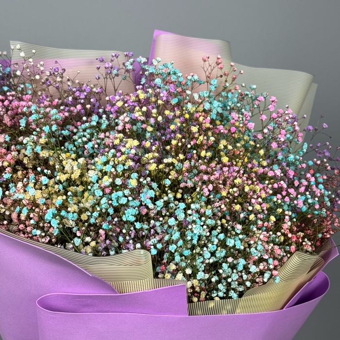 Букет из 25 цветных гипсофил