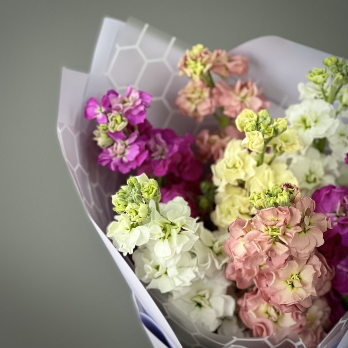 Букет из 7 маттиол микс