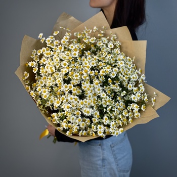 Букет из 21 ромашки