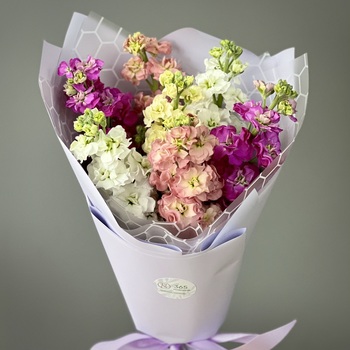 Букет из 7 маттиол микс