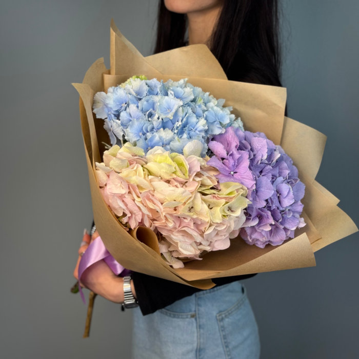 Букет из 1 гидрангии микс