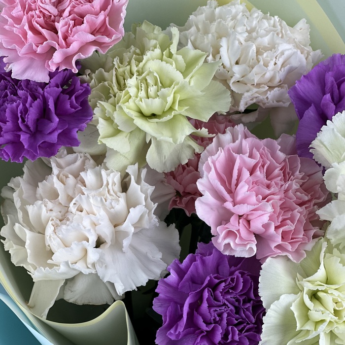 Букет из 11 гвоздик микс