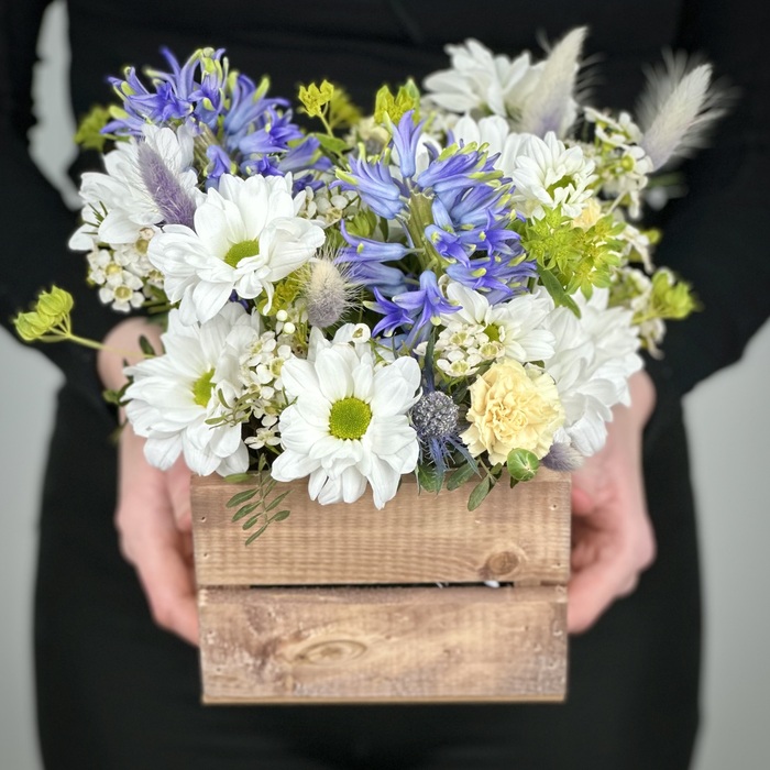 Цветы в ящике Жаклин