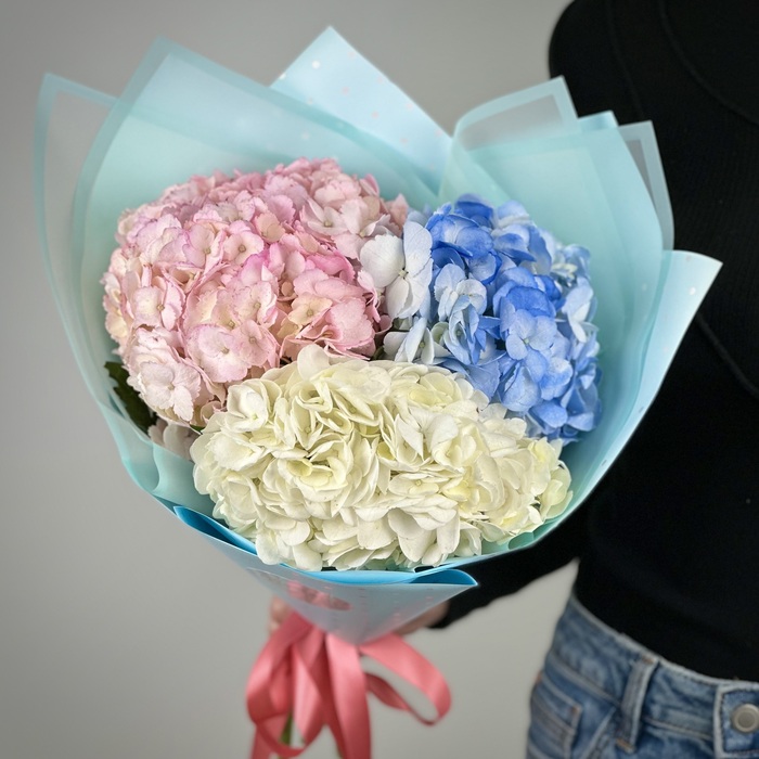 Букет из 1 гортензий микс