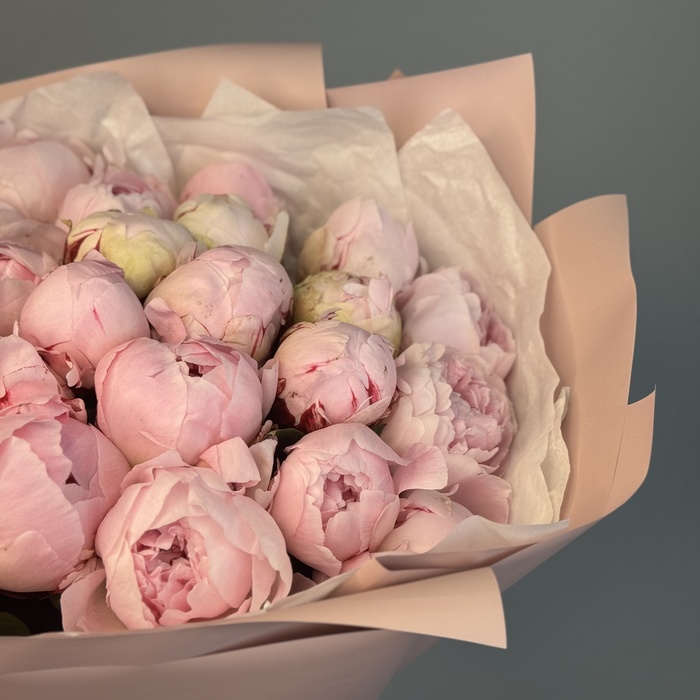 Букет из 31 пионов Сара