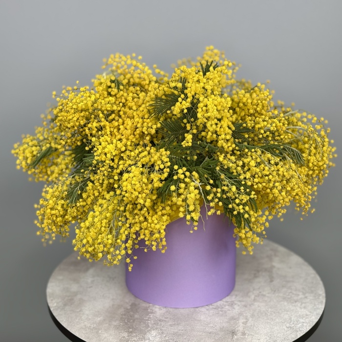 Цветы в коробке Мимоза