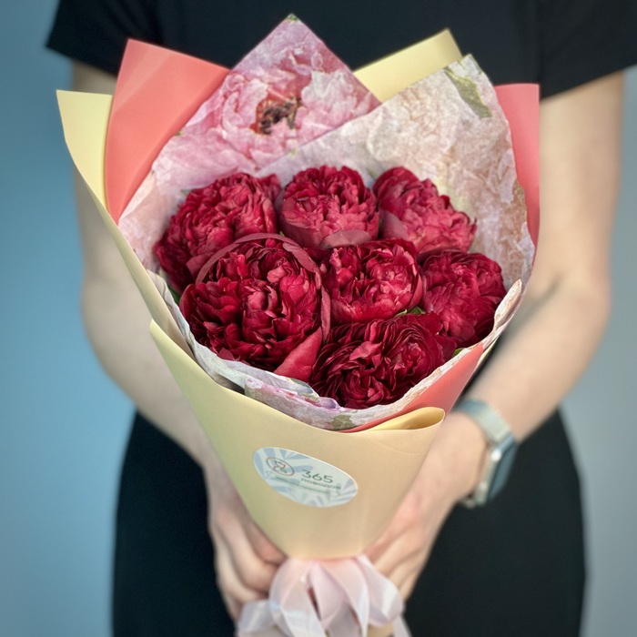 Букет из 1 бордовых пионов