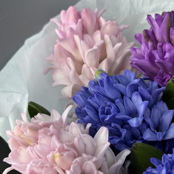 Букет из 7 гиацинтов микс