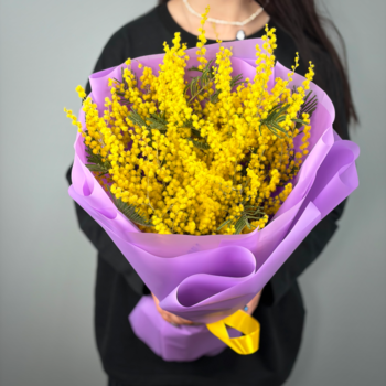 Букет из мимозы