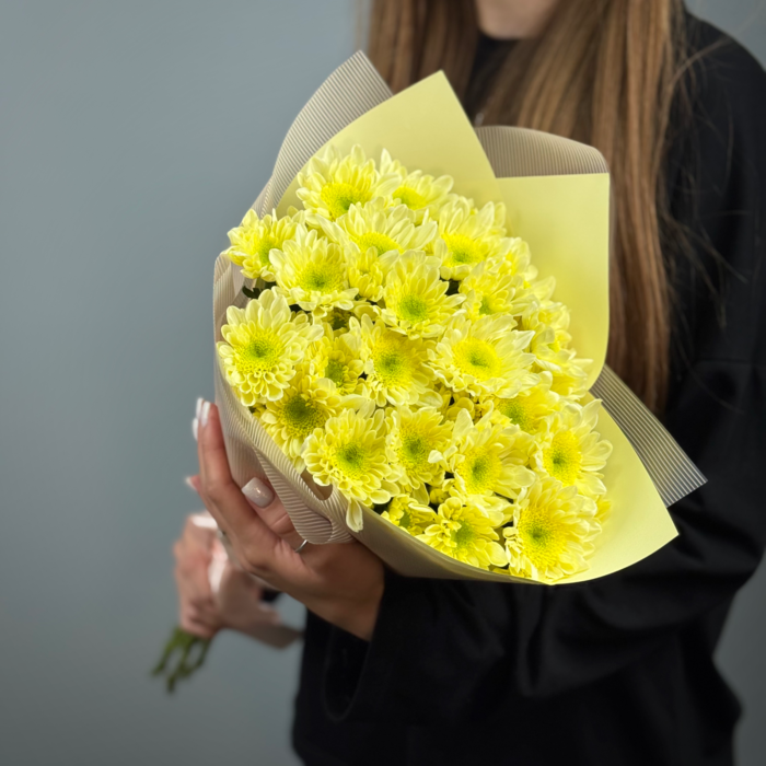 Комбо Снова в школу