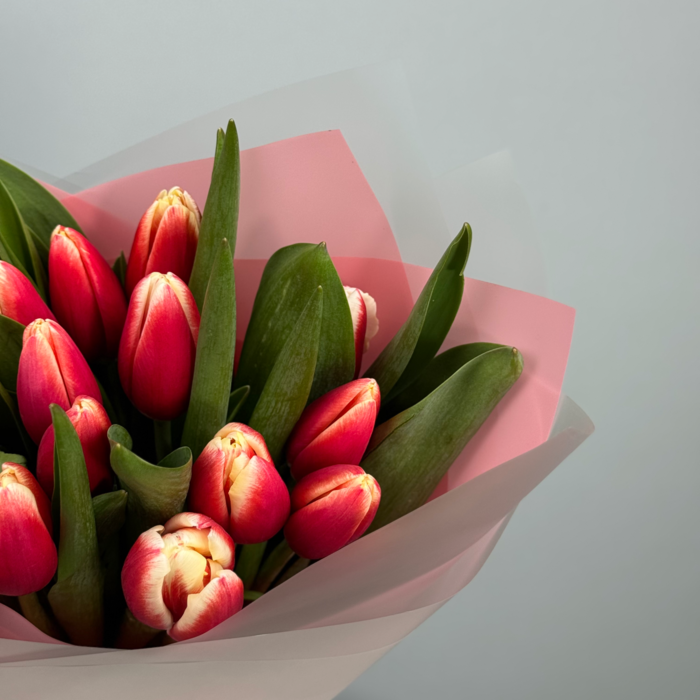 Букет из 15 красных тюльпанов