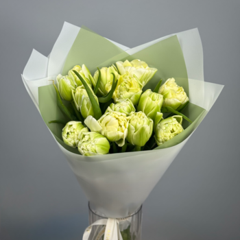 Букет из 15 светлых пионовидных тюльпанов