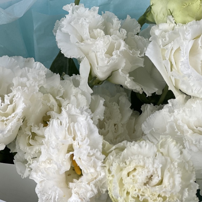 Букет из 5 белых лизиантусов