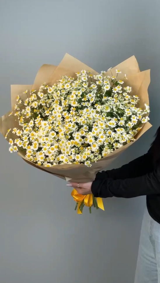 Букет из 25 ромашки