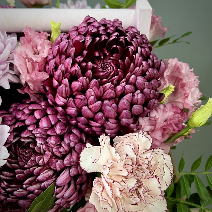 Цветы в ящике Венеция