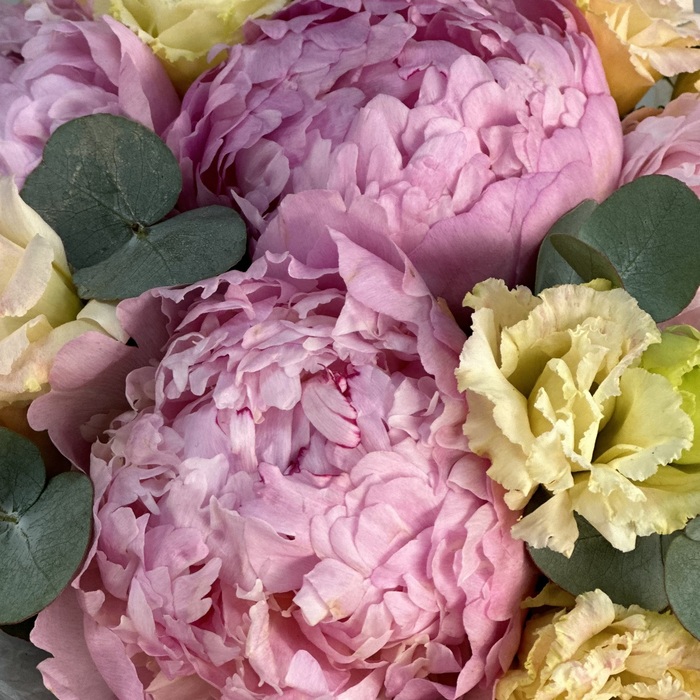 Цветы в коробке Сара