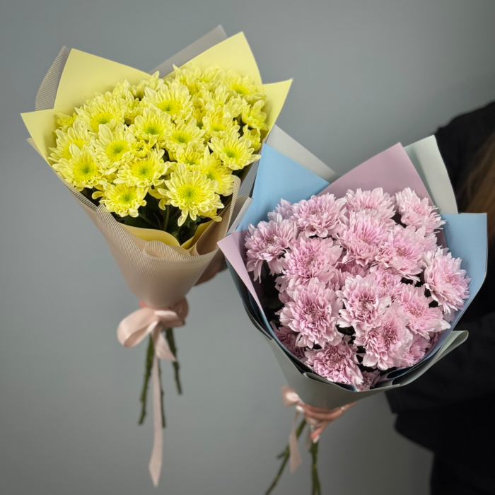 Комбо Снова в школу