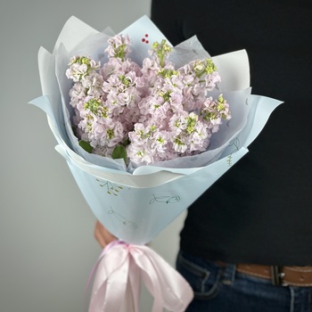 Букет из 11 розовых маттиол