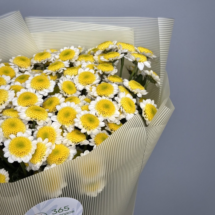 Букет Ромашка под солнцем