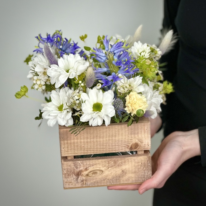 Цветы в ящике Жаклин