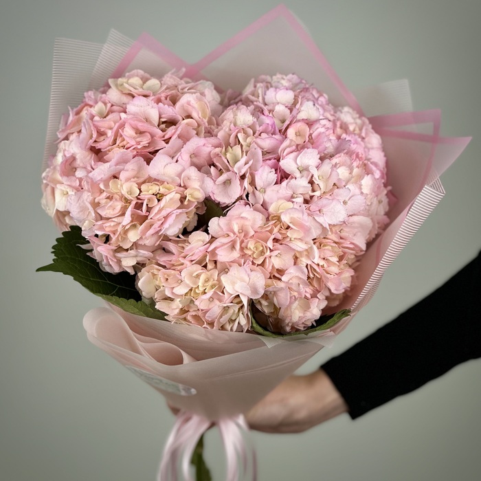 Букет из 3 розовых гортензий