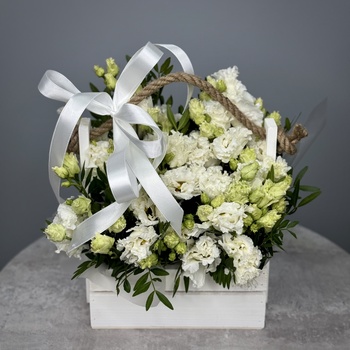 Цветы в ящике Энканто