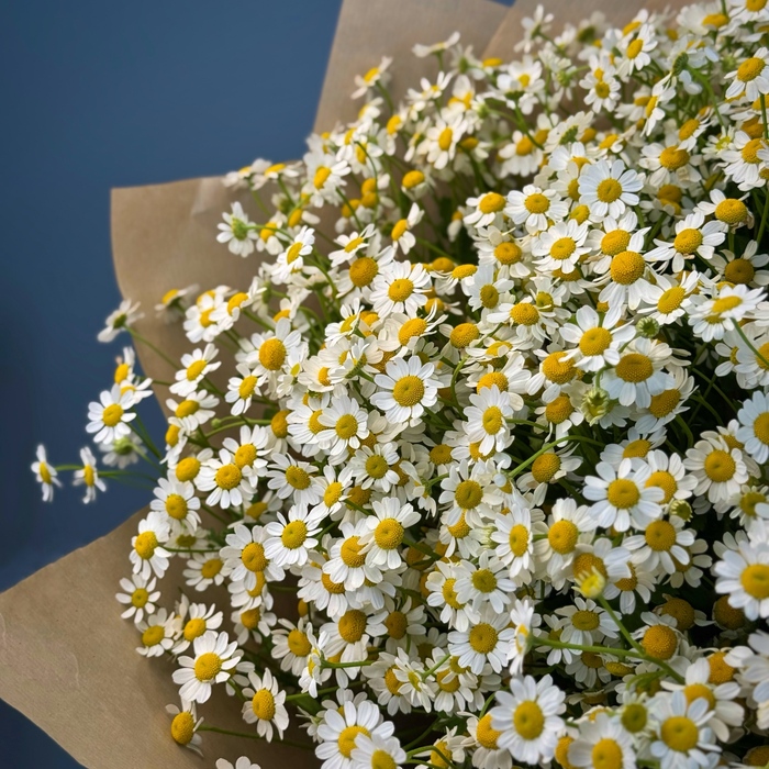 Букет из 25 ромашки
