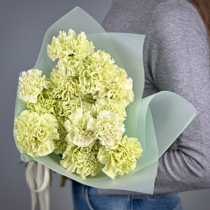 Букет из 15 фисташковых гвоздик