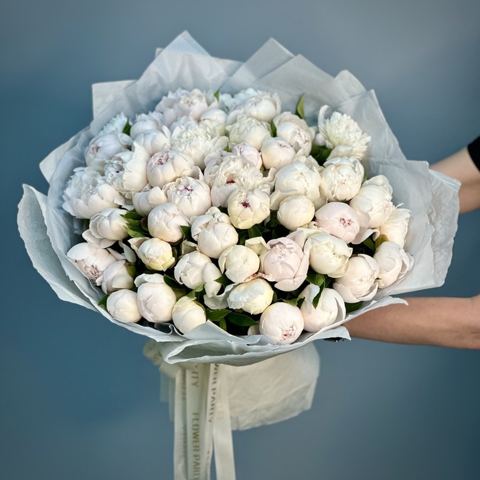 Букет из 51 бело-розовых пионов